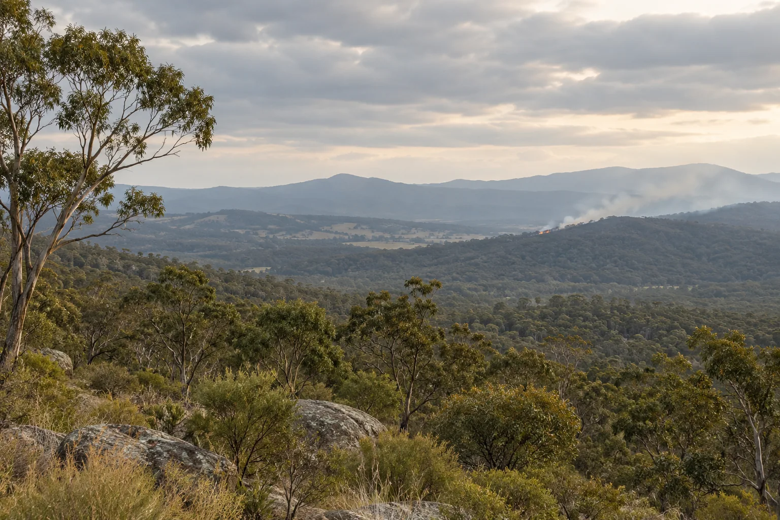 Illustration of light bushfire smoke rising above distant Australian bushland