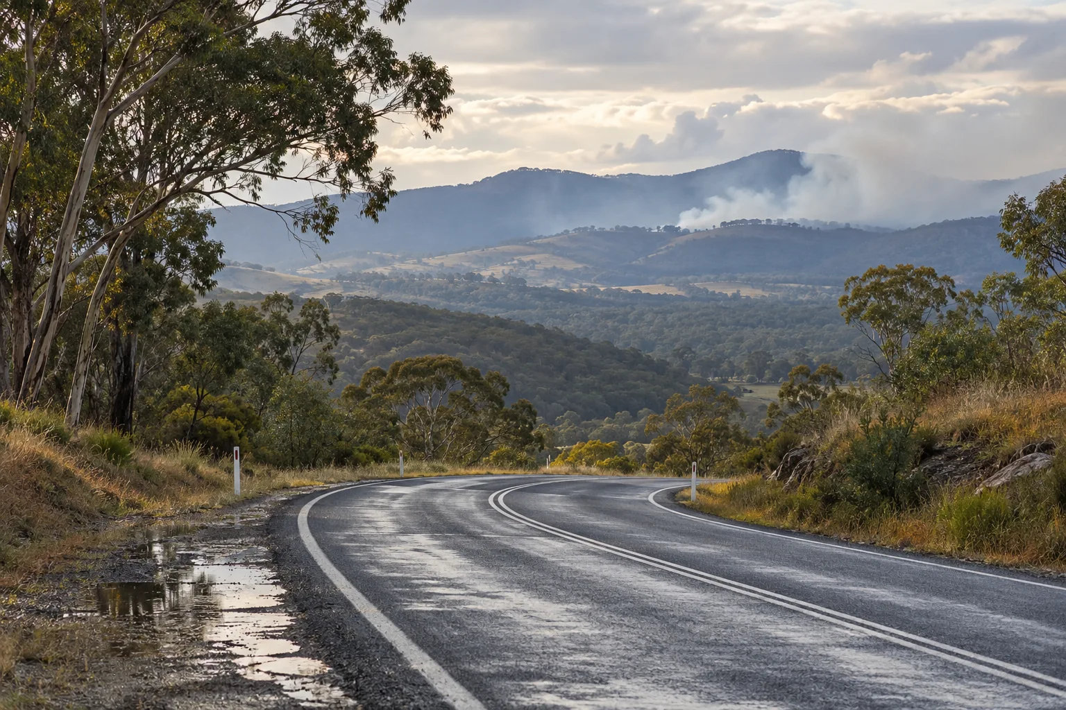 Illustration of a quiet winding road through Australian bushland after rain